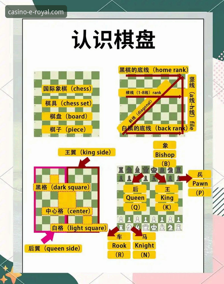 皇家国际娱乐平台实用操作指南：从下载到登录的全流程解析